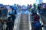 DSC_6406.JPG